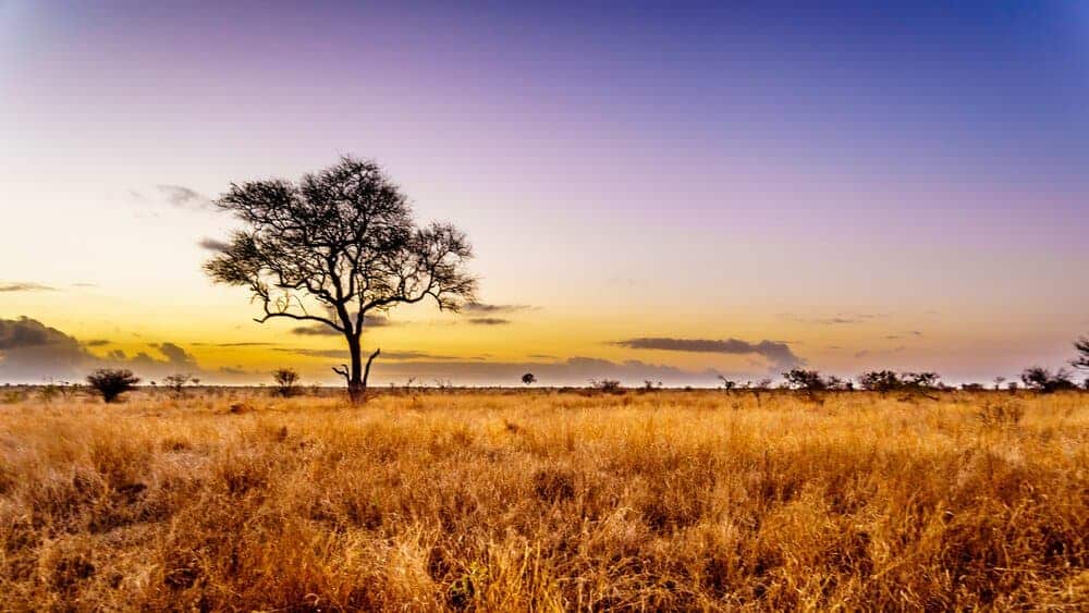 top ten tourist destinations in africa